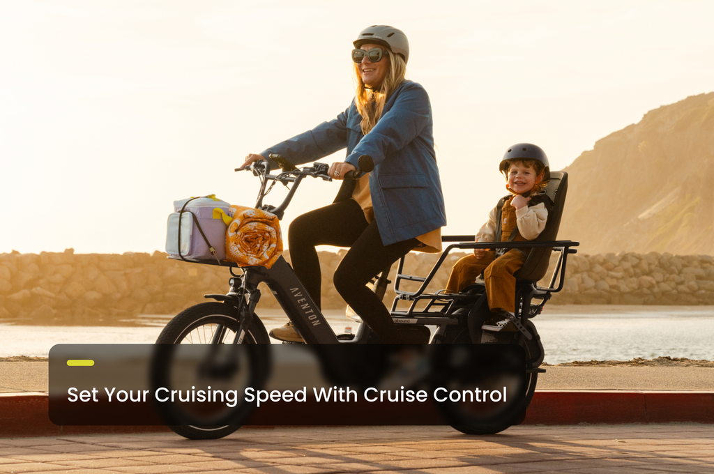 info cruise control - common