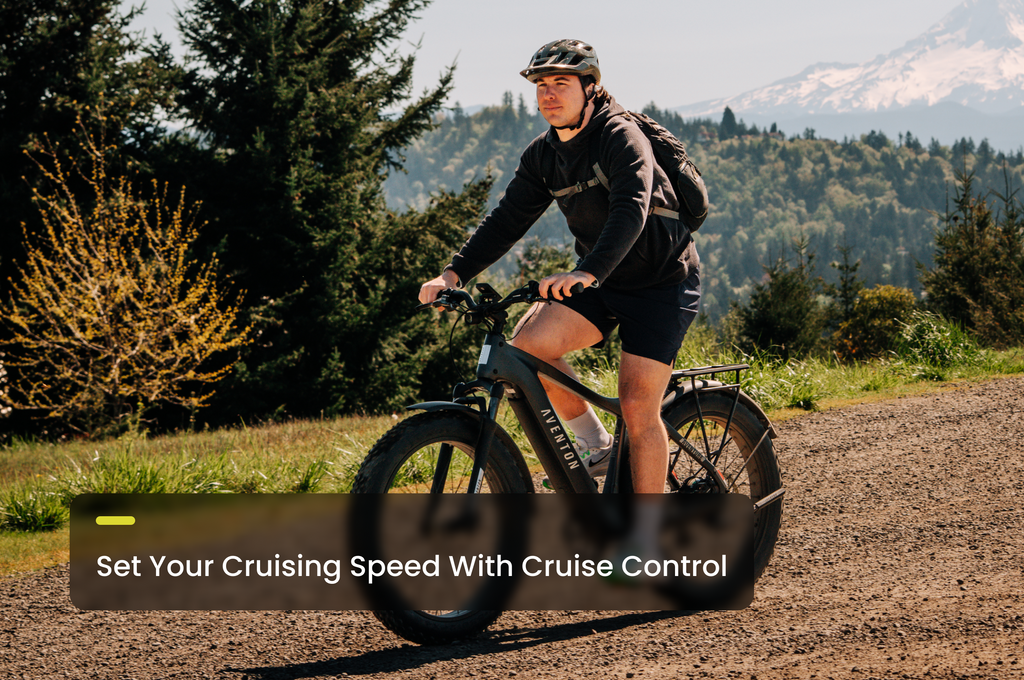 info cruise control - common