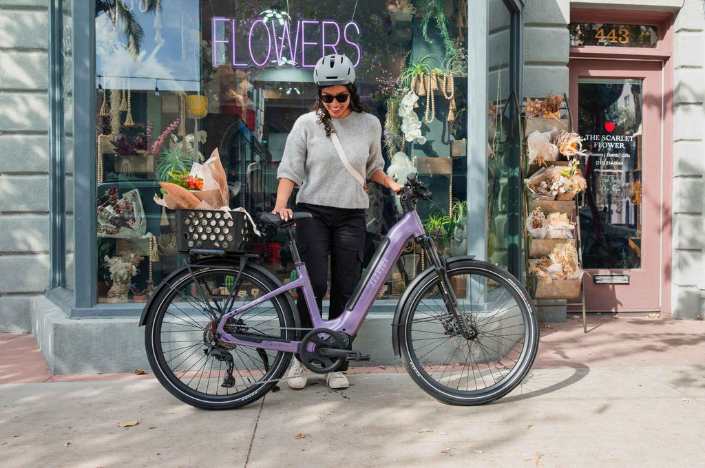 Level 4 ADV Step-Through Ebike