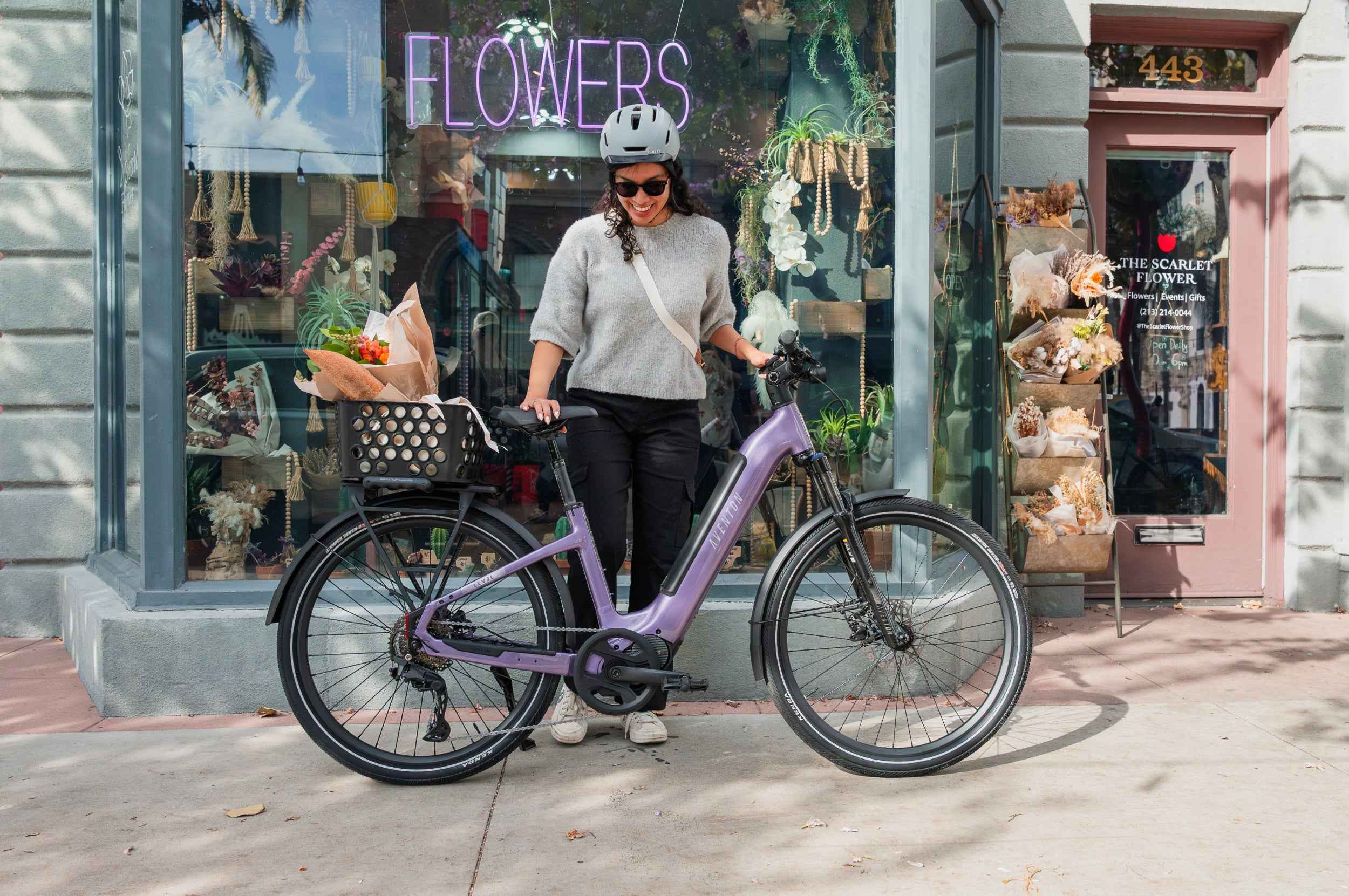 Level 4 ADV Step-Through Ebike
